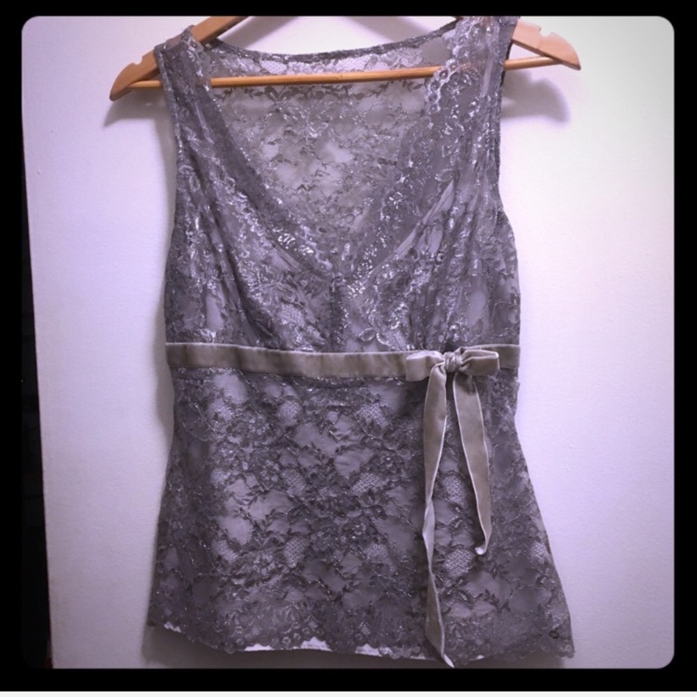 Ann Taylor LOFT StunningGray/Silver Lace DressTop